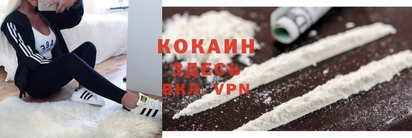 a pvp Аркадак