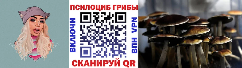 Псилоцибиновые грибы прущие грибы  Купить закладки  Полысаево 